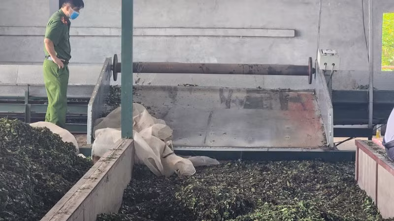 Hiện trường vụ việc tại xưởng chế biến chè tại thôn Gốc Xanh, xã Phú Nghĩa, huyện Lạc Thủy.