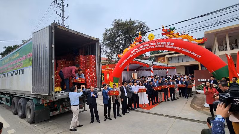 Chuyển hàng lên container xuất khẩu sang Hoa Kỳ.