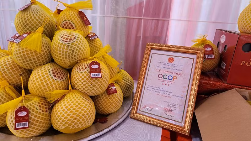 Bưởi Diễn Lương Sơn được xuất khẩu phải trải qua rất nhiều công đoạn và kiểm định đã đáp ứng các tiêu chuẩn về mẫu mã, độ Brix và 900 hoạt chất do Phòng Kiểm nghiệm được Hoa Kỳ chấp nhận cho xuất khẩu.