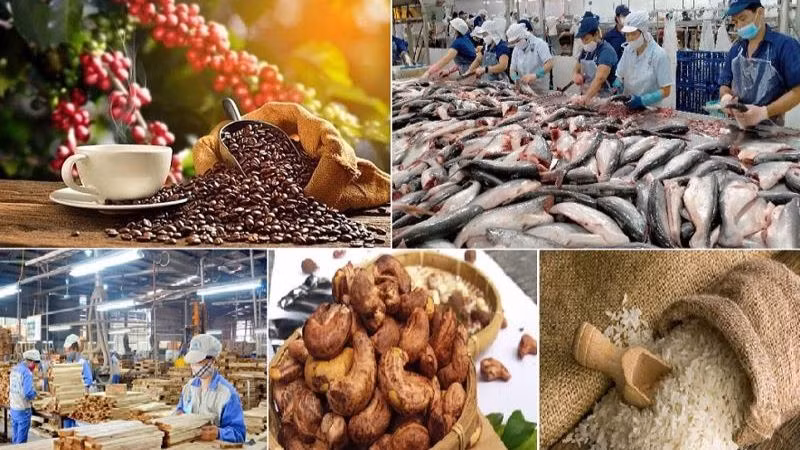 Những tín hiệu tích cực từ xuất khẩu nông, lâm, thủy sản 5 tháng đầu năm 