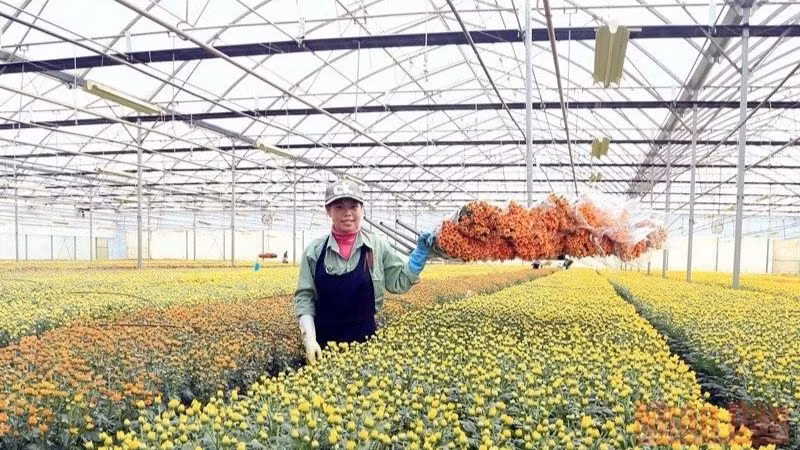 Giải bài toán đầu tư cho đổi mới khoa học công nghệ trong nông nghiệp