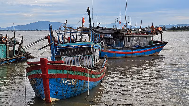 Các phương tiện nghề cá sẵn sàng vươn khơi.