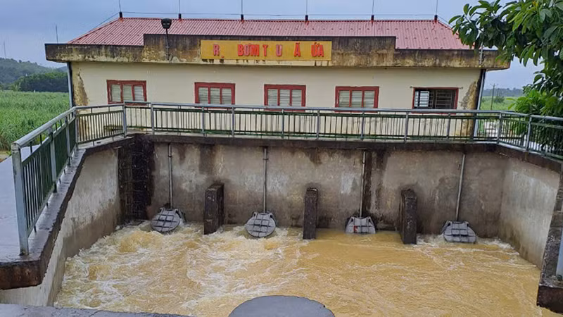 Công ty thủy nông vận hành trạm bơm tiêu thoát nước.