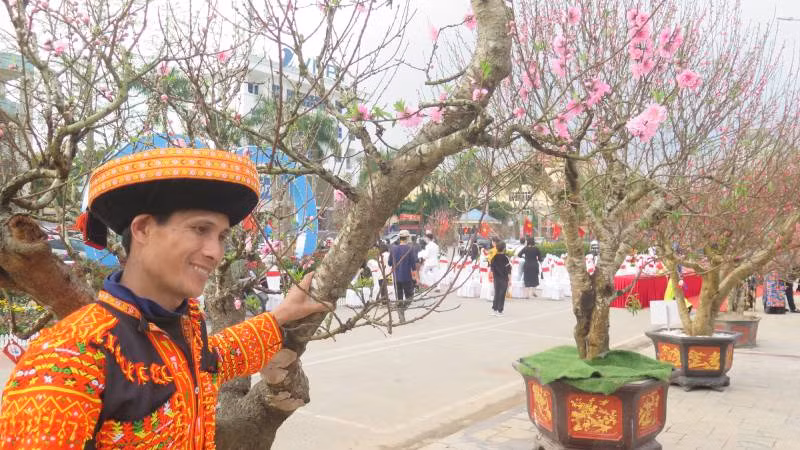 Người dân ở xã Công Sơn, huyện Cao Lộc (Lạng Sơn), trồng nhiều loại đào bản địa đem trưng bày tại lễ hội.