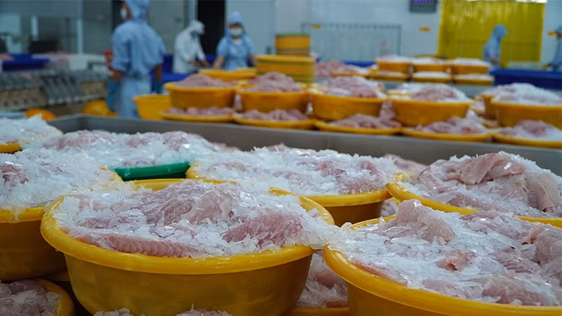 Nhà máy chế biến cá tra tại Khu Công nghiệp Sa Đéc, tỉnh Đồng Tháp.