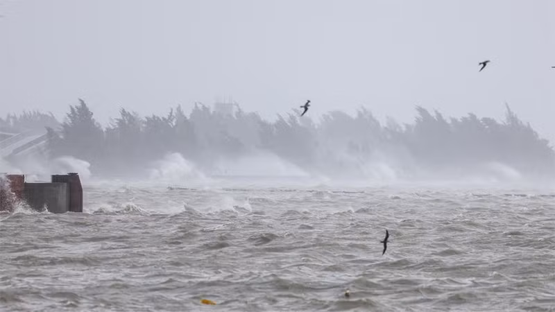 Sóng lớn đập vào bờ trước khi siêu bão Yagi đổ bộ vào thị trấn Puqian, thành phố Văn Xương, tỉnh Hải Nam, ngày 6/9/2024. (Ảnh: Tân Hoa Xã)