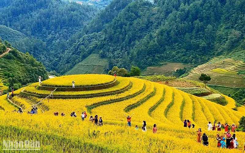 Du khách khám phá vẻ đẹp của ruộng bậc thang tại xã La Pán Tẩn, huyện Mù Cang Chải (Yên Bái). (Ảnh Hạnh Hoàng)