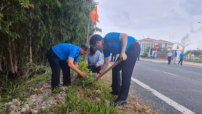Trồng cây xanh dọc các tuyến đường ở thị trấn Vĩnh Viễn, huyện Long Mỹ.