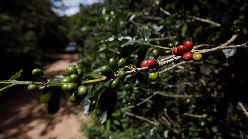 Ảnh minh họa. (Nguồn: Reuters)