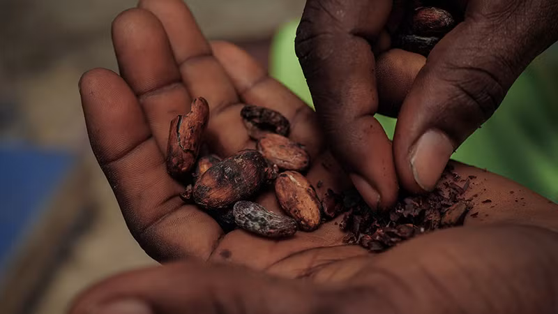 Ảnh minh họa. (Nguồn: Reuters)