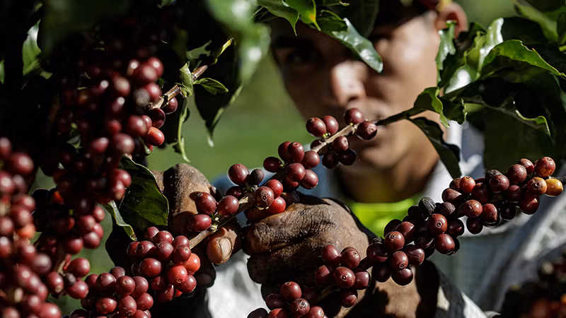 Ảnh minh họa. (Nguồn: Reuters)