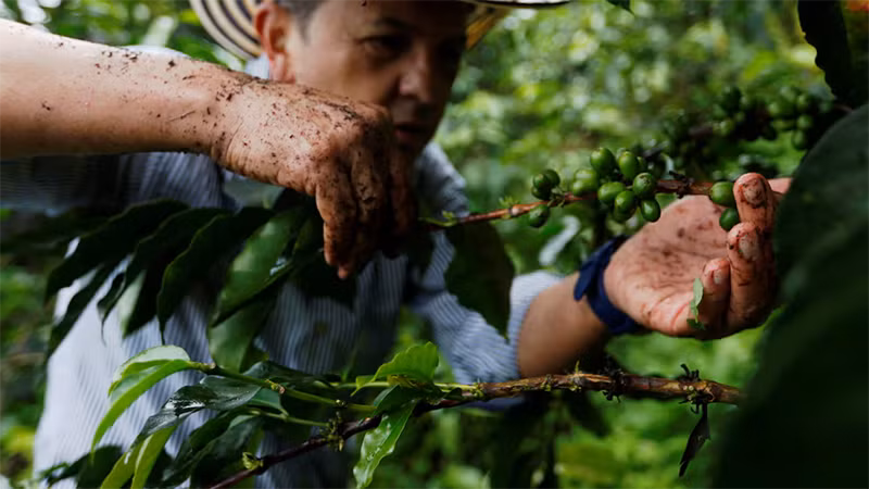 Ảnh minh họa. (Nguồn: Reuters)