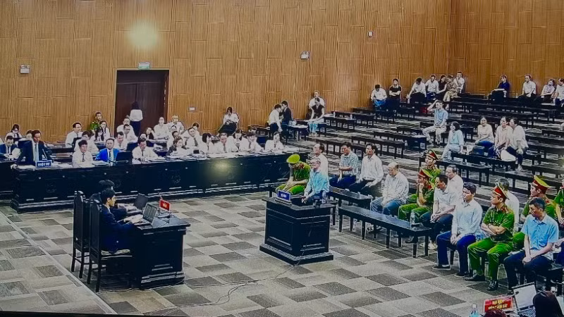 Luật sư bào chữa cho bị cáo Hoàng Quốc Vượng.