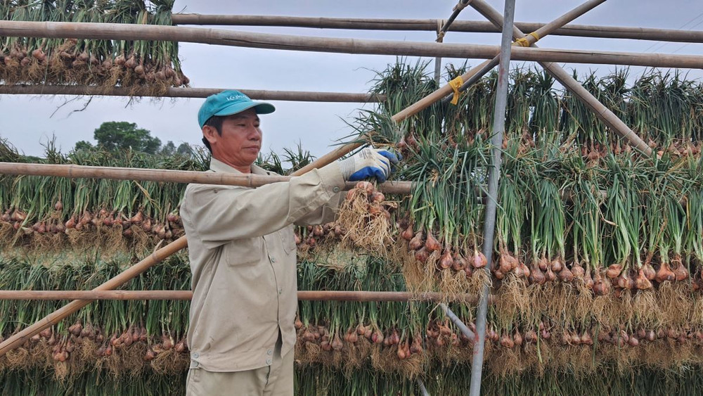 Theo thống kê, các tháng đầu năm 2023, sức mua của thị trường đang có xu hướng giảm.