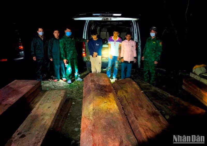 Xe ô-tô 75D-00393 chở 28 phách gỗ trái phép bị bắt giữ lúc 2 giờ 20 phút rạng sáng ngày 3/3.