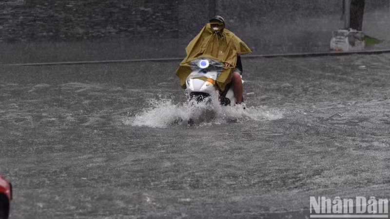 (Ảnh: THÀNH ĐẠT)