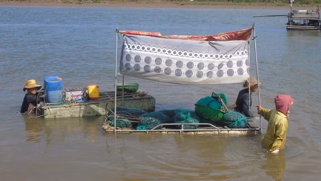 Vất vả mưu sinh.