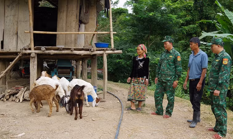 Hướng dẫn kỹ thuật dê cho gia đình chị Vi Thị Nhung ở bản Piêng Mứn, xã Mai Sơn (Tương Dương).
