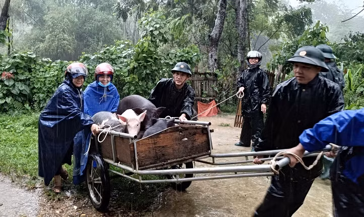 Chuyển tài sản của người dân đến nơi an toàn.