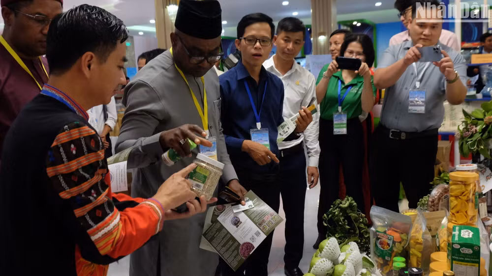 Bình Phước đẩy xúc tiến đầu tư các dự án FDI vào lĩnh vực nông nghiệp.