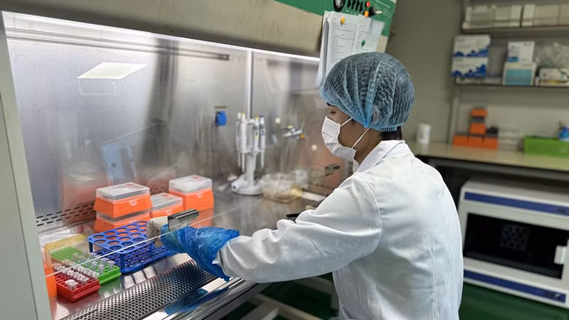 Kỹ thuật viên Trung tâm Giám định ADN thực hiện tách chiết ADN mẫu hài cốt liệt sĩ.