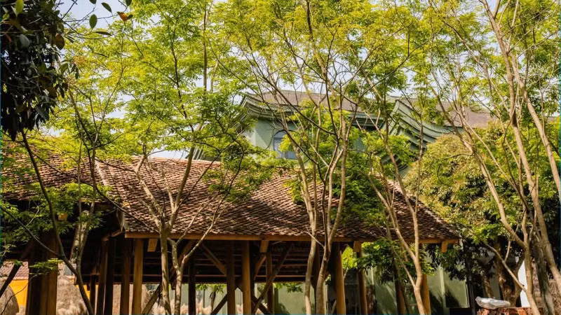 Hợp tác xã được bao phủ bởi cây xanh.
