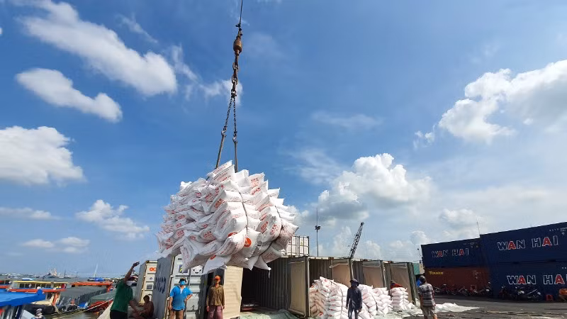 Kim ngạch xuất khẩu gạo của Việt Nam dự báo đạt hơn 5 tỷ USD trong năm 2024. 