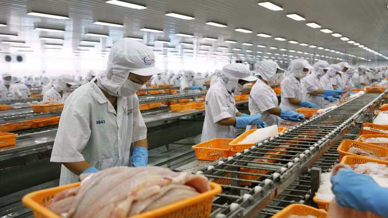 Việt Nam lần đầu tiên vươn lên vị trí đối tác xuất khẩu thủy sản lớn thứ 5 vào thị trường Singapore. 