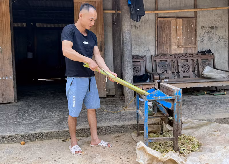 Người dân thôn Bum Kẹn, xã Hùng Lợi sử dụng điện chạy máy cắt thức ăn chăn nuôi gia súc
