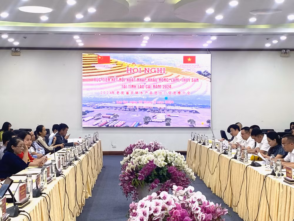 Quang cảnh hội nghị tại thành phố Lào Cai chiều 1/11.