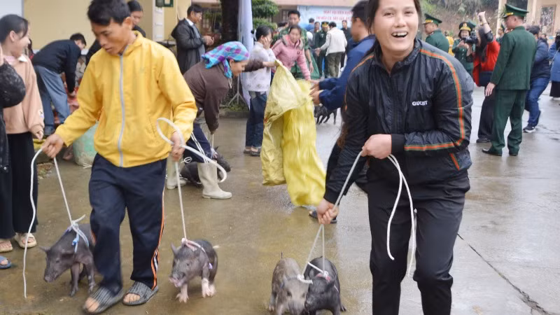Người dân vui mừng khi nhận được các con lợn giống do Bộ đội Biên phòng tặng.