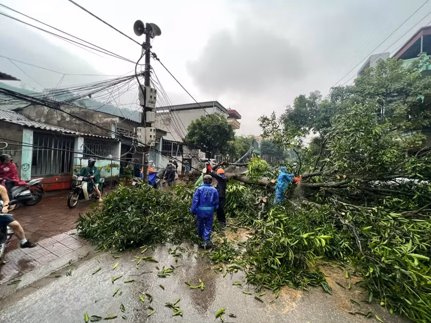 Dông lốc đêm ngày 5/5 rạng sáng ngày 6/5 làm gãy đổ nhiều cây cối ở Lào Cai.