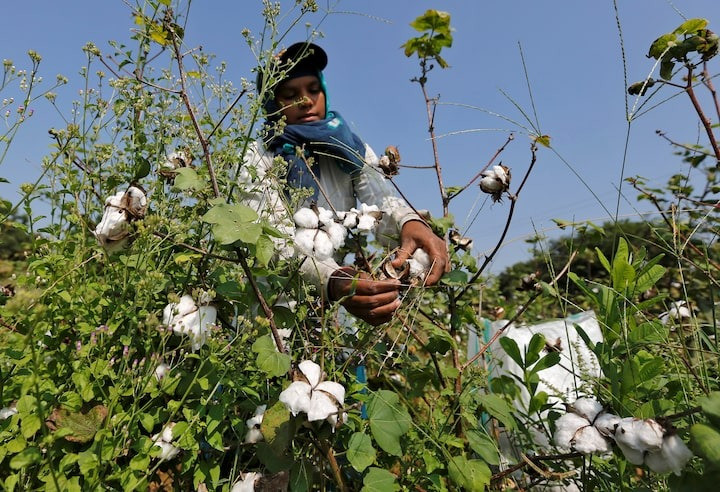 Ảnh minh họa. Nguồn: Reuters