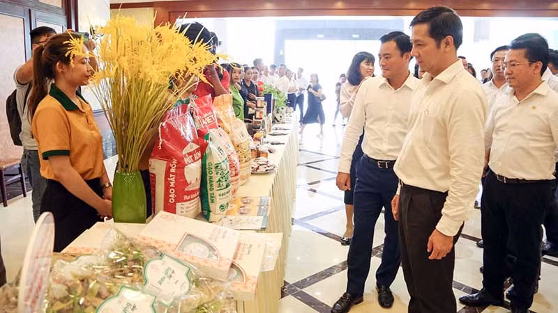 Lãnh đạo Tỉnh ủy Tây Ninh cùng lãnh đạo Thành phố Hồ Chí Minh tại Hội nghị ký kết cung ứng sản phẩm giữa các doanh nghiệp Tây Ninh và Thành phố Hồ Chí Minh. (Ảnh MINH ANH)