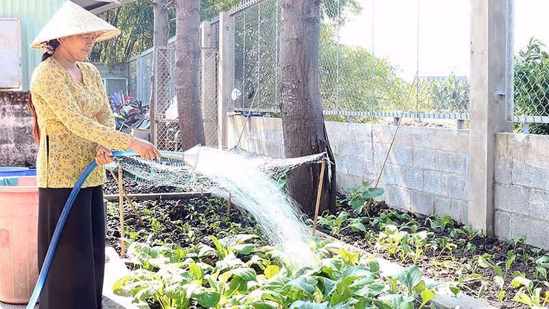 Nhu cầu sử dụng nước sạch của người dân tại xã Tân Tập, huyện Cần Giuộc, tỉnh Long An trong sinh hoạt và sản xuất được bảo đảm. (Ảnh SƠN QUÊ)