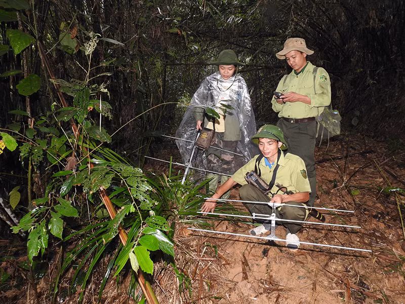 Lực lượng kiểm lâm Khu bảo tồn thiên nhiên Xuân Liên (Thanh Hóa) ứng dụng công nghệ SMART để quản lý, bảo vệ rừng.