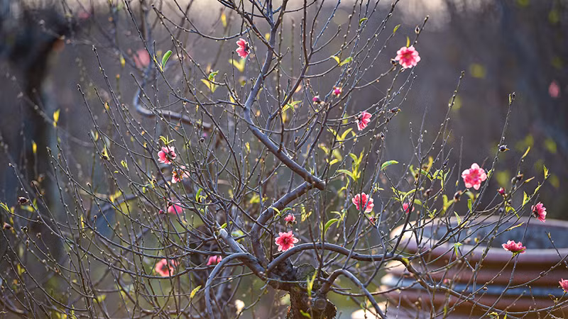 Ảnh: Thành Đạt.