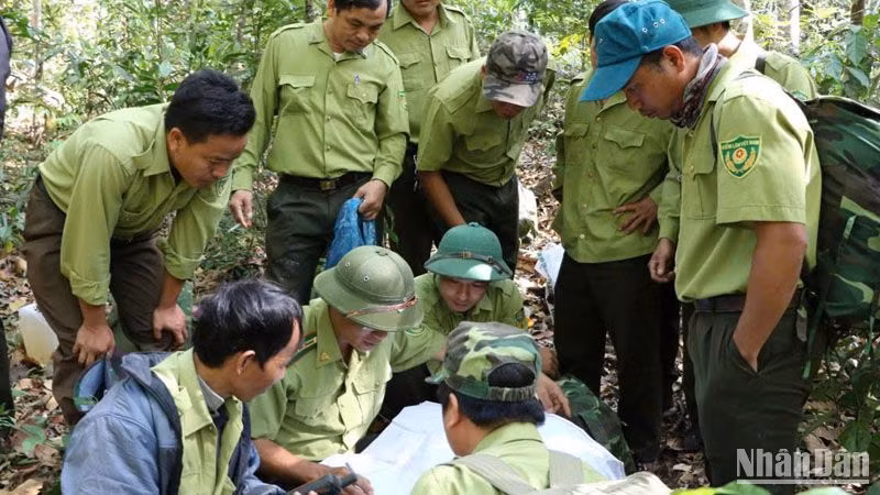 Khu Bảo tồn thiên nhiên Nam Nung chủ động phối hợp các cấp chính quyền địa phương, Hạt Kiểm lâm sở tại, các đơn vị chủ rừng giáp ranh tuần tra, truy quét bảo vệ rừng tự nhiên tại các khu vực điểm nóng.