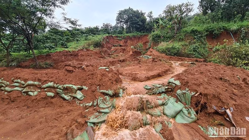 Một vụ sạt lở đất kết hợp nước ngầm xuyên bên trong đất tràn ra ngoài tại thôn 1, xã Đắk Búk So huyện Tuy Đức, tỉnh Đắk Nông vẫn chưa được khắc phục.