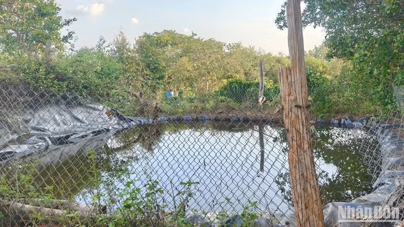 Hiện trường nơi xảy ra vụ đuối nước khiến 2 cháu nhỏ tại xã Đạo Nghĩa, huyện Đắk R'lấp, tỉnh Đắk Nông tử vong.