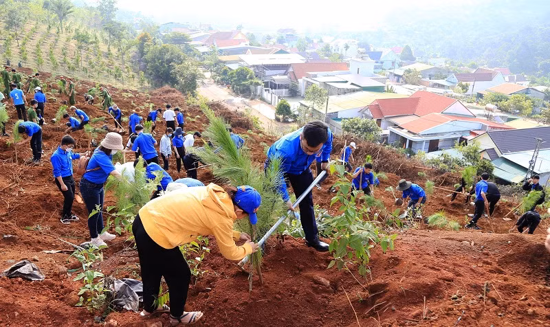 Cùng thời điểm, các cơ quan, đơn vị, địa phương trong tỉnh đã đồng loạt tổ chức lễ phát động, dự kiến sẽ có hơn 163.000 cây được trồng trong dịp này.