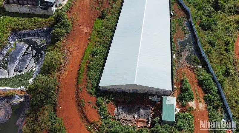 Năm 2023, Sở Tài nguyên và Môi trường Đắk Nông tiến hành kiểm tra phát hiện, xử phạt 14 hộ gia đình chăn nuôi heo với tổng số tiền 1,98 tỷ đồng, vì các hành vi vi phạm bảo vệ môi trường.