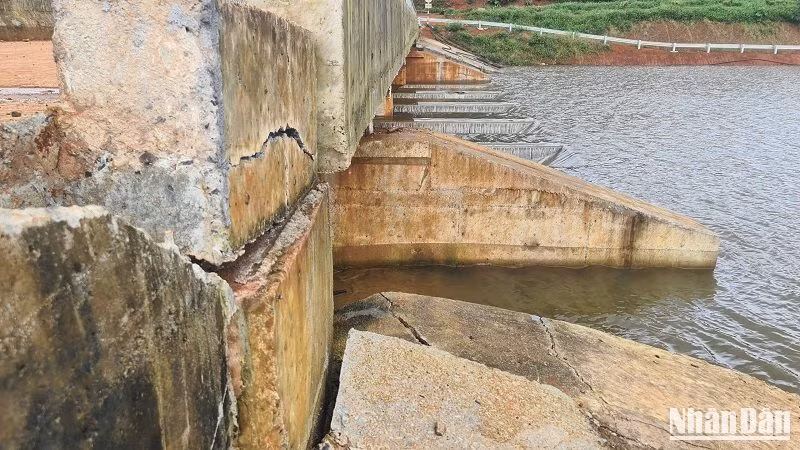 Người dân kiến nghị, lãnh đạo tỉnh Đắk Nông và các cơ quan hữu quan sớm vào cuộc kiểm tra nguyên nhân sụt lún, nứt gãy của thân đập, cầu qua tràn bê-tông nối thân đập nhằm bảo đảm tính mạng và tài sản người dân sống vùng hạ du.