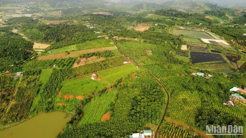 Ngành Tài nguyên và Môi trường Đắk Nông đã chủ động tham mưu cho Ủy ban nhân dân tỉnh Đắk Nông xây dựng 15 văn bản quy phạm pháp luật quy định chi tiết Luật Đất đai năm 2024 để lấy ý kiến các sở, ban, ngành trước khi trình Ủy ban nhân dân tỉnh ban hành để thay thế các quy định cũ đã hết hiệu lực. Ngành Tài nguyên và Môi trường Đắk Nông đã chủ động tham mưu cho Ủy ban nhân dân tỉnh Đắk Nông xây dựng 15 văn bản quy phạm pháp luật quy định chi tiết Luật Đất đai năm 2024 để lấy ý kiến các sở, ban, ngành trước khi trình Ủy ban nhân dân tỉnh ban hành để thay thế các quy định cũ đã hết hiệu lực.