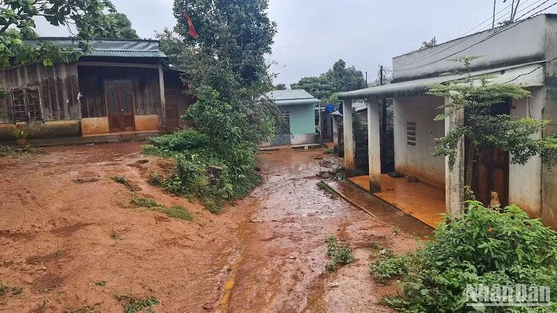 Đến nay, chính quyền địa phương đã di dời gần 70 hộ dân ra khỏi khu vực có nguy cơ và đang cắt cử lực lượng chốt trực, theo dõi, trông coi bảo đảm tài sản cho người dân.