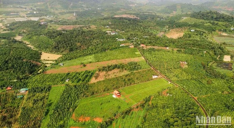 Việc cấp Giấy chứng nhận quyền sử dụng đất, xác nhận thay đổi vào Giấy chứng nhận quyền sử dụng đất được rút ngắn về thủ tục, thời gian, tạo điều kiện cho người dân hơn sau khi được giao thẩm quyền về cho Văn phòng đăng ký đất đai và Chi nhánh Văn phòng đăng ký đất đai các huyện, thành phố.