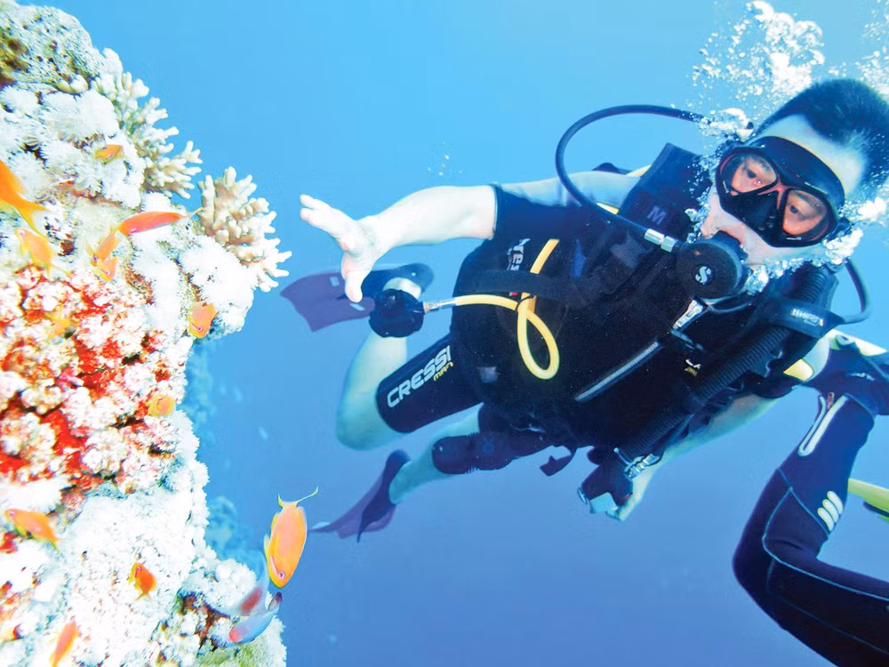 Du khách Việt lặn tại Biển Đỏ trong hành trình khám phá Ai Cập. Nguồn ảnh: Offtrack Travel