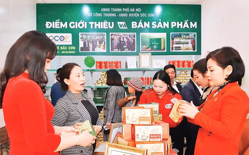 Người tiêu dùng tham quan, mua sắm tại điểm giới thiệu và bán sản phẩm OCOP trên địa bàn huyện Sóc Sơn. 