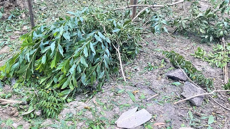 Khu vực xảy ra vụ nổ gây chết người tại xã Tam Thái, huyện Phú Ninh (Quảng Nam)