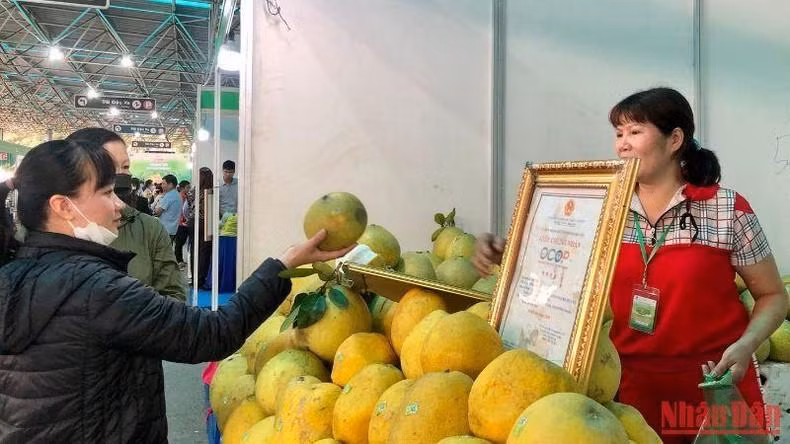 Người tiêu dùng tham quan, mua sắm các sản phẩm OCOP tại "Tuần hàng OCOP-sản vật Việt Nam phát triển và hội nhập". Ảnh: Nguyên Trang